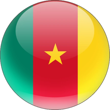 cameroon flag