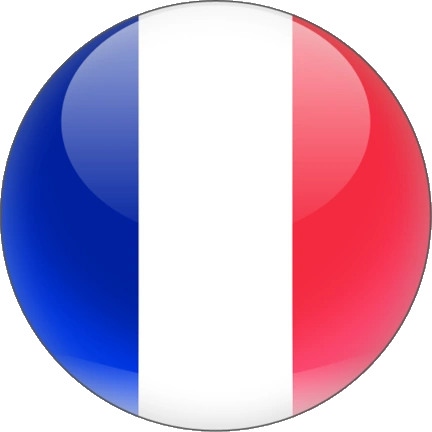 france flag