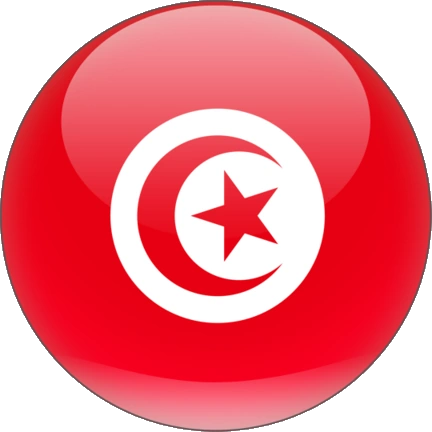 tunisia flag